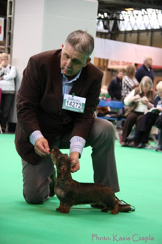 Crufts2011_2 1119.jpg